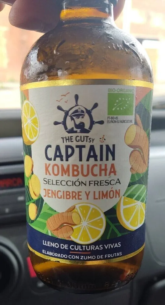 Kombucha jengibre y limon