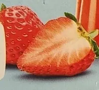 Gelatina