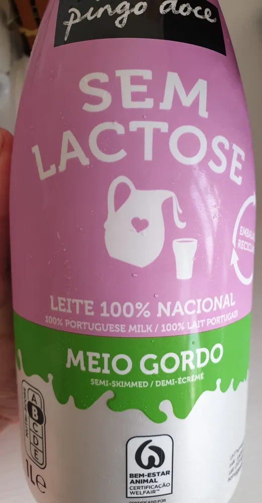 Sem Lactose Meio Gordo