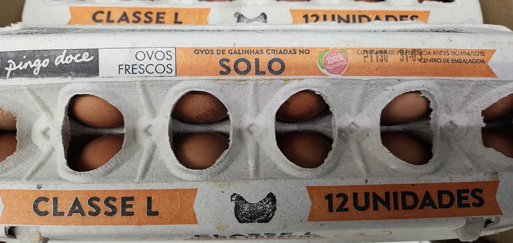 Ovos Frescos Ovos de Galinhas Criadas no Solo Classe L 12 Unidades