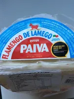 Flamengo de lamego