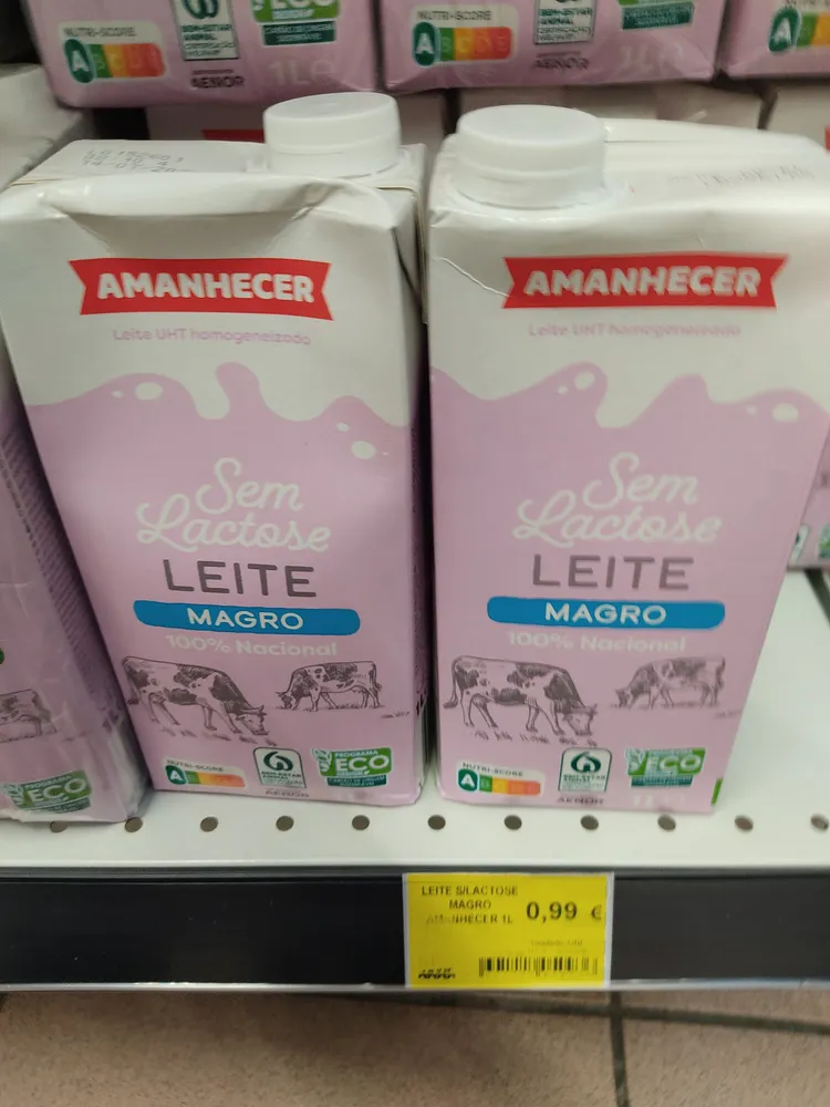 Leite Sem Lactose Magro