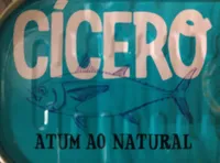 Atum ao Natural