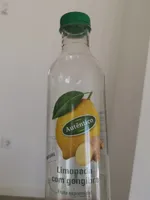 Limonada com gengibre