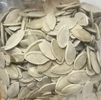 Pipas de calabaza