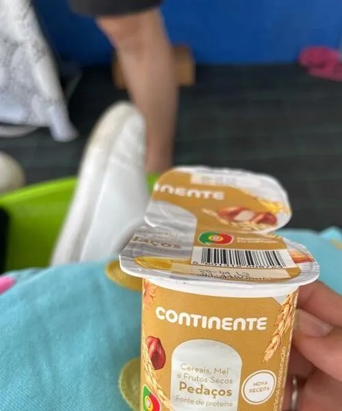 Iogurte Cereais, Mel e Frutos Secos