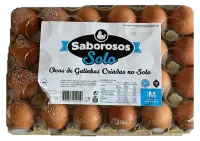 Ovos de Galinhas Criadas no Solo
