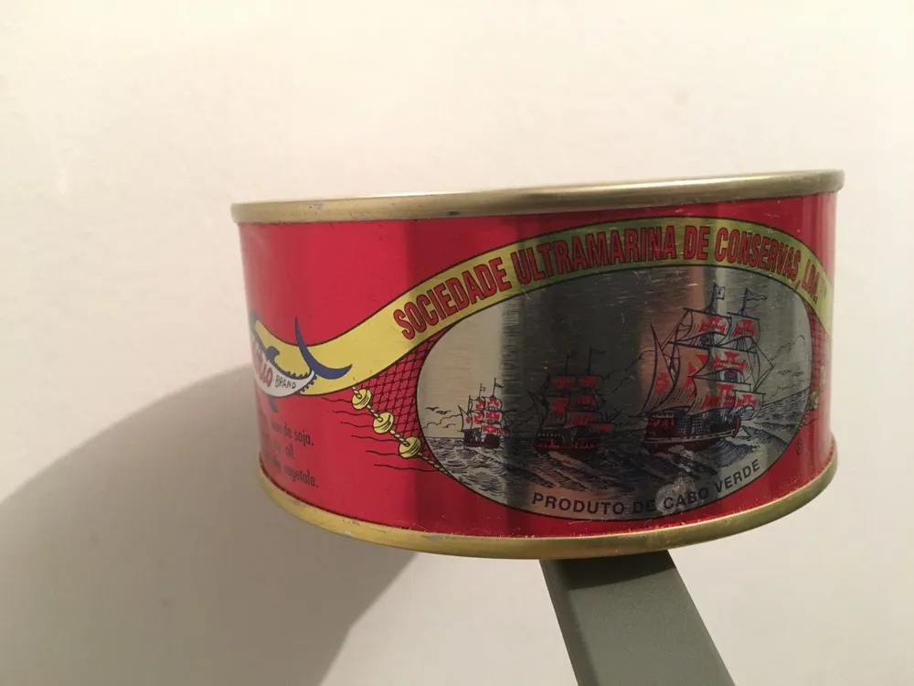 Tuna In Soy Oil