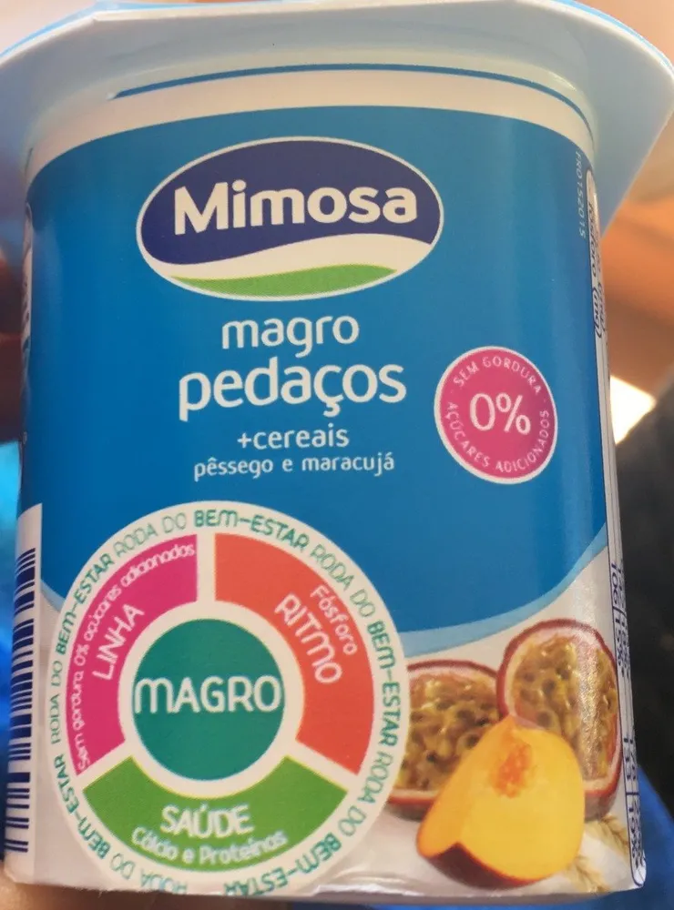 Magro pedacos