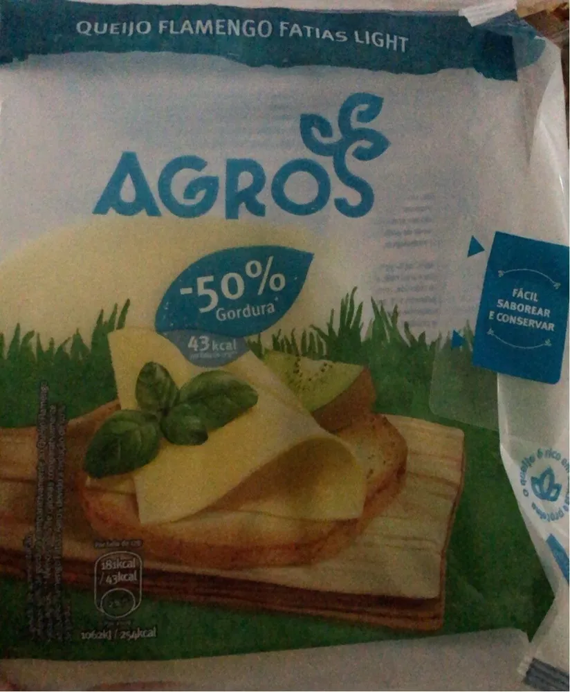 Queijo Flamengo Fatias Light