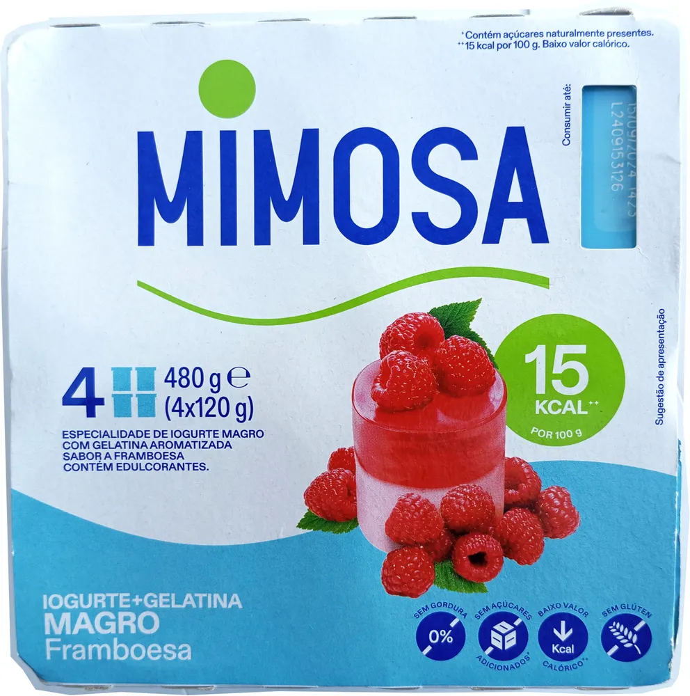 Iogurte + Gelatina Magro Framboesa