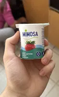 Iogurte sem Lactose Multifrutos