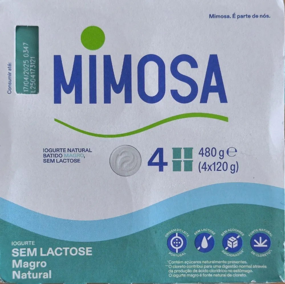 Iogurte sem Lactose Magro Natural