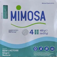 Iogurte sem Lactose Magro Natural