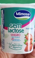 Iogurte Magro Sem Lactose Morango