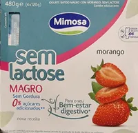 Iogurte batido magro com morango, sem lactose