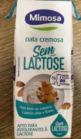 nata cremosa Sem Lactose