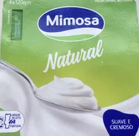 Iogurte Natural