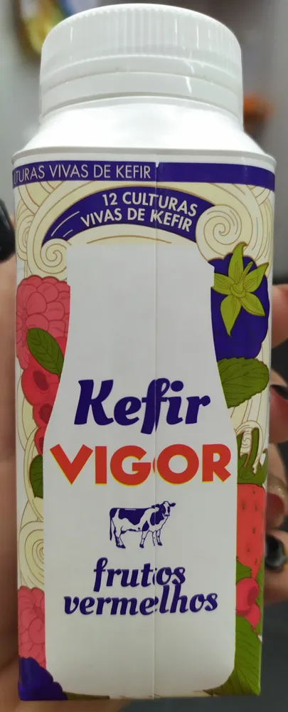 Kefir Frutos Vermelhos