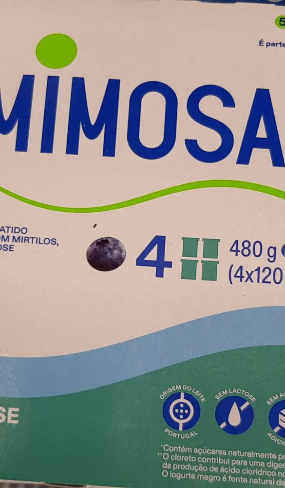 Iogurte Sem Lactose Magro Mirtilo