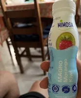 Iogurte liquido magro morango e kiwi