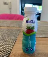 Sem lactose morango