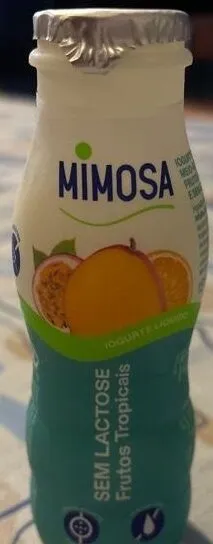 Iogurte Líquido Sem Lactose Frutos Tropicais