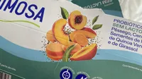 Probiótico¹ Sem Lactose Magro Pêssego, Cenoura, Sementes de Millet, de Quinoa Vermelha e de Girassol