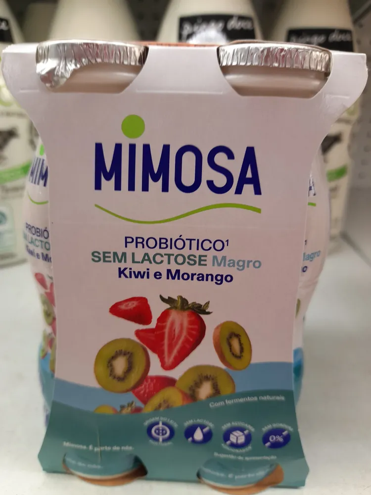 Probiótico sem lactose magro Kiwi e Morango
