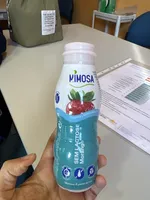 Iogurte Líquido Magro Morango Sem Lactose