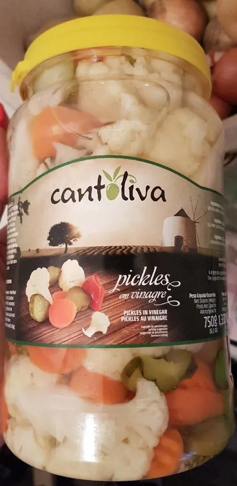 Pickles au vinaigre
