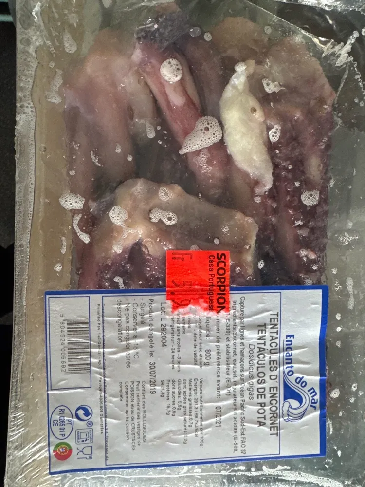 Tintenfisch Tentakel