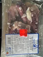 Tintenfisch Tentakel