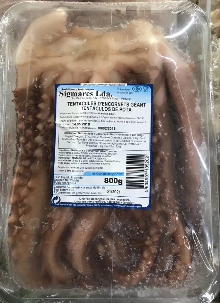 Tentacules d'encornets geant