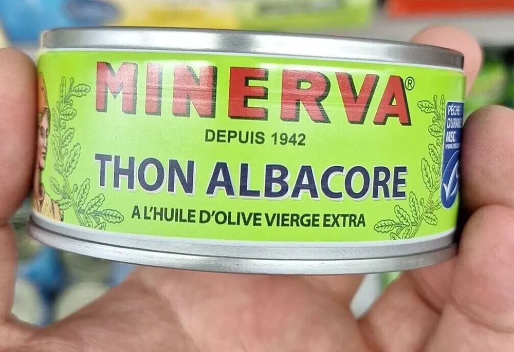 Thon albacore