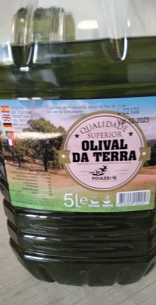 Olival da terra