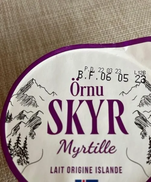 Orne SKYR myrtille