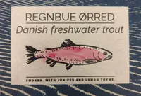 Regnbue Ørred