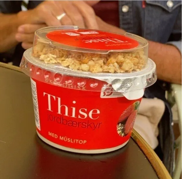 Thise jordaerskyr