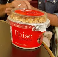 Thise jordaerskyr