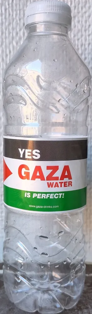 Yes Gaza Water Is Perfect!