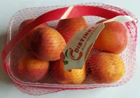 Aprikosen