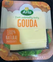 Queso Gouda