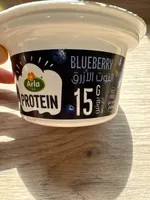 PROTEIN BLUEBERRY