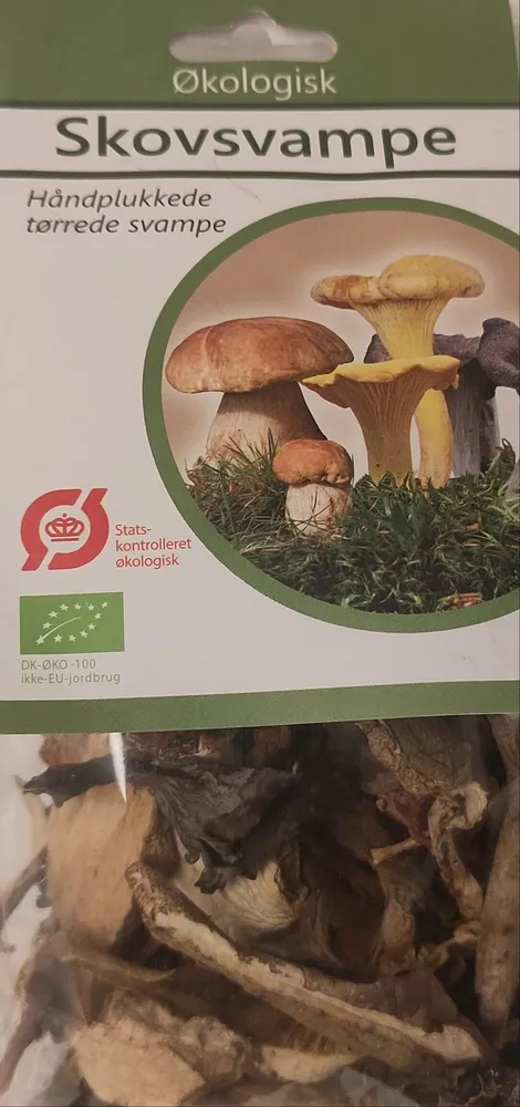 Skovsvampe