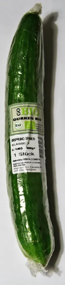 Bio Gurke