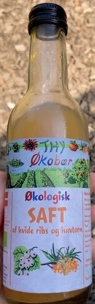 Okologisk saft
