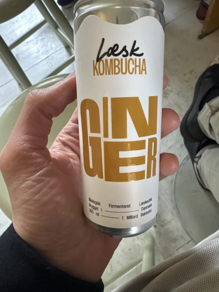 Ginger Kombucha