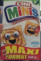 Cini Minis