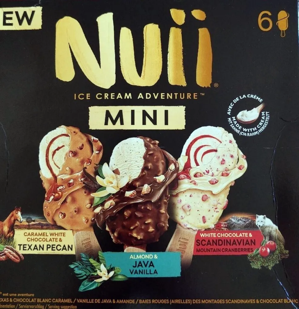 Mini ice cream adventure